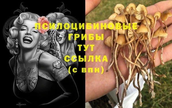 прущая мука Лихославль